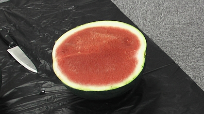 blacksuika420.jpg