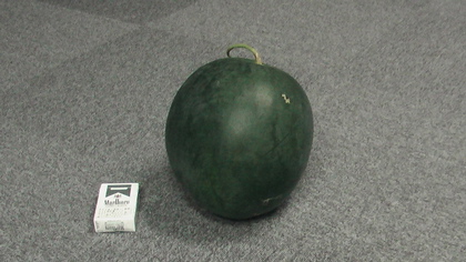 suica420.jpg