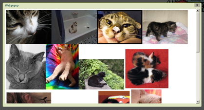 getflickrpic.jpg