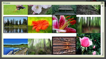 getflickrpics-nature.jpg