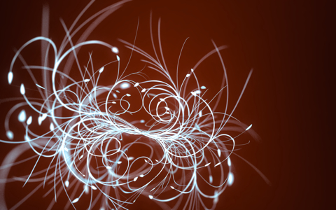 flowal3-small.jpg