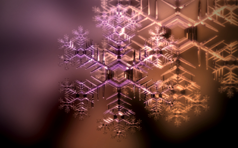 snowcrystal-small.jpg