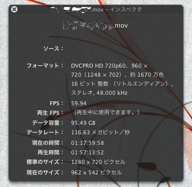 dvcprohd-inspector.jpg
