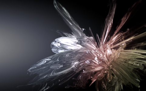 flo-postcolor_noalpha_small.jpg
