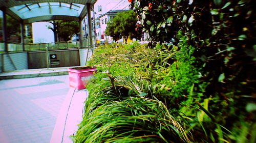 pict0049_2