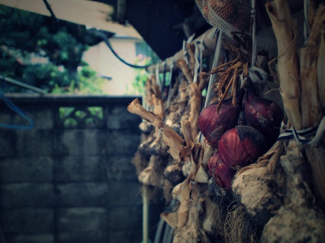 Onion