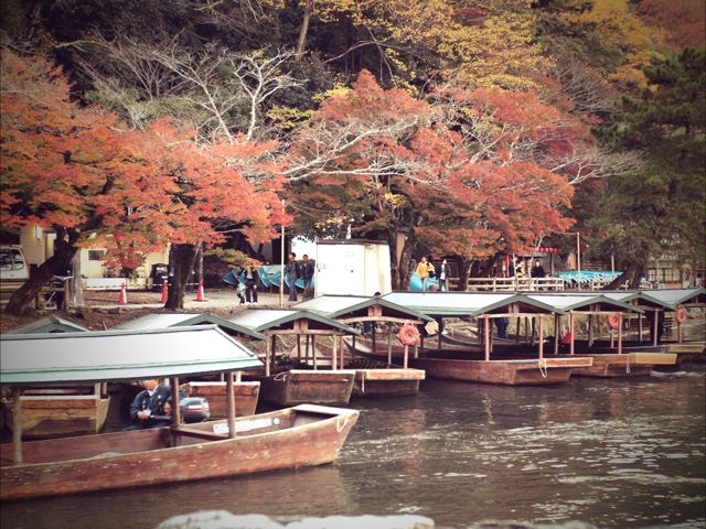 プチ紅葉 プチ紅葉