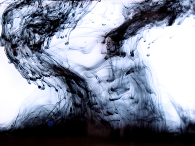 P1231768